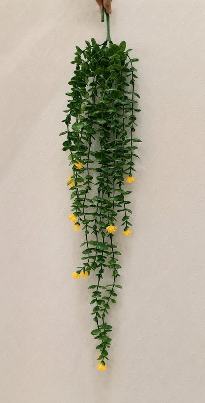 شمشاد گلدار