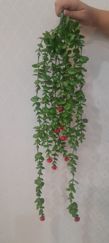 شمشاد گلدار